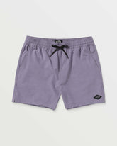 Every Other Day Laybacks 16" Trunks - Lavender | Billabong Men