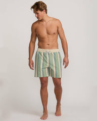 Good Times Laybacks 16" Trunks - Moss | Billabong Men