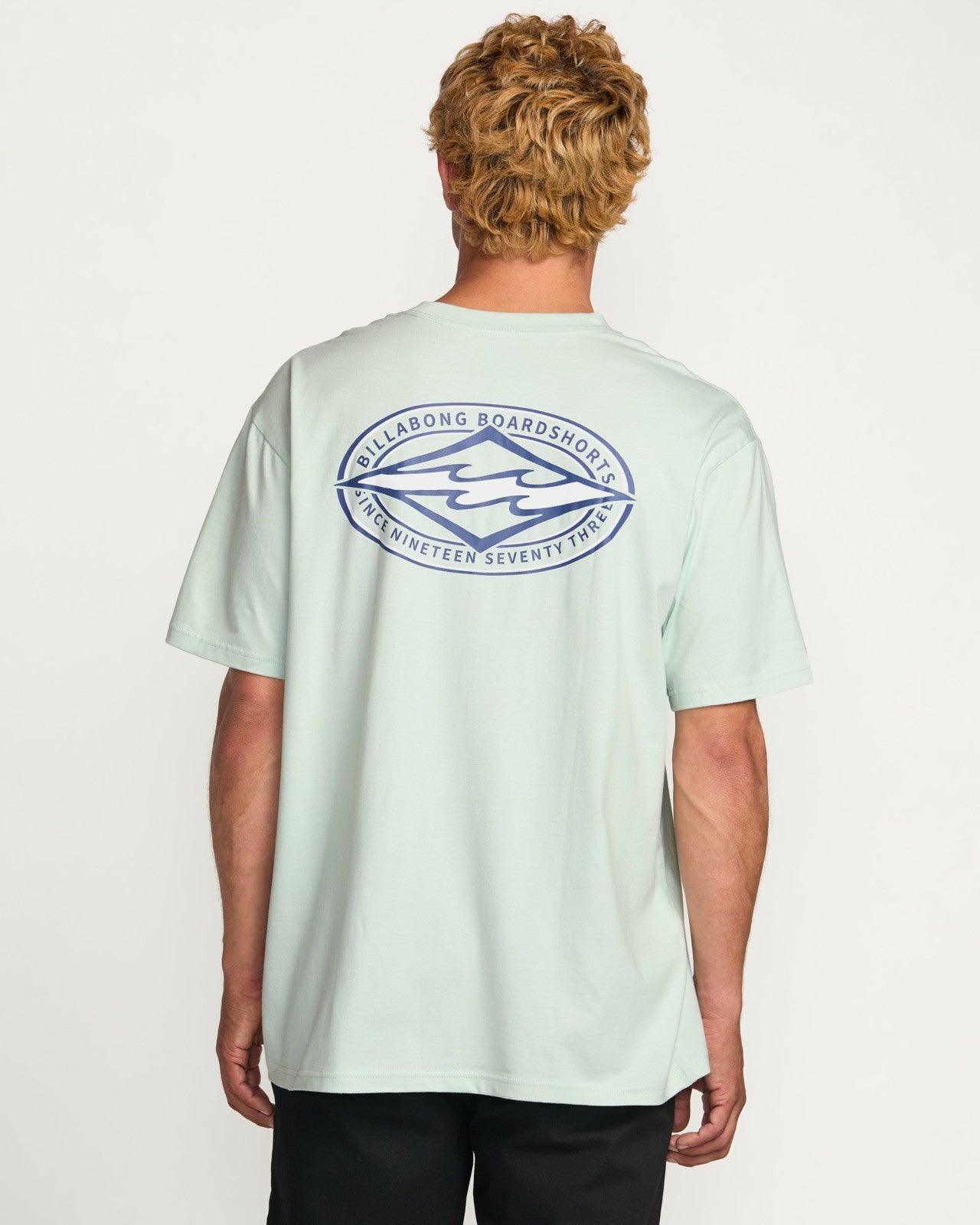 Diamond Vision Regular Tee - Ash Blue | Billabong Men