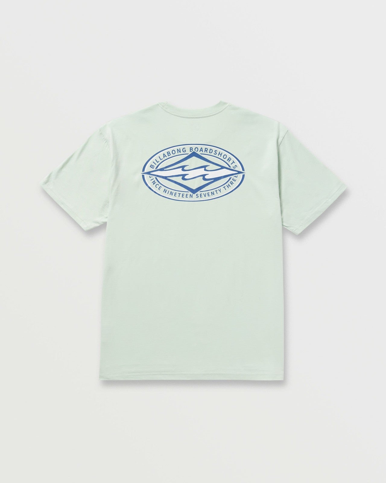 Diamond Vision Regular Tee - Ash Blue | Billabong Men