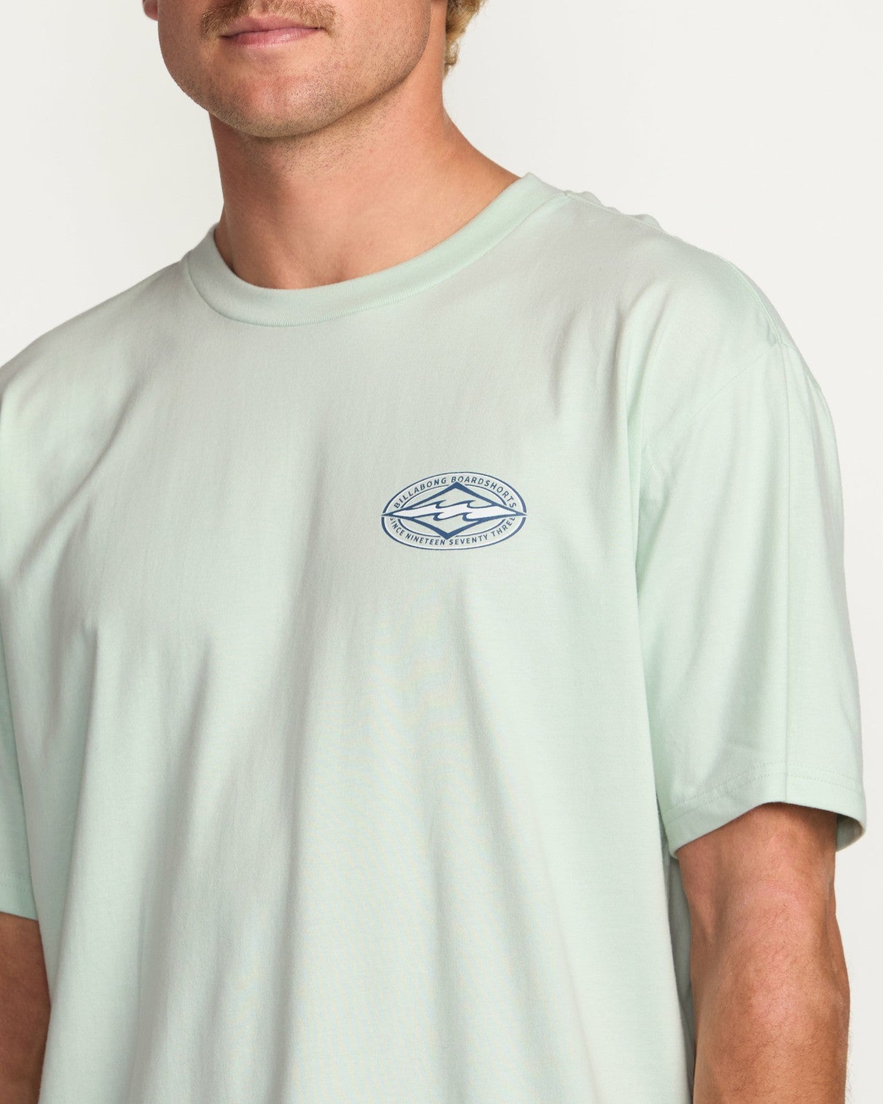 Diamond Vision Regular Tee - Ash Blue | Billabong Men