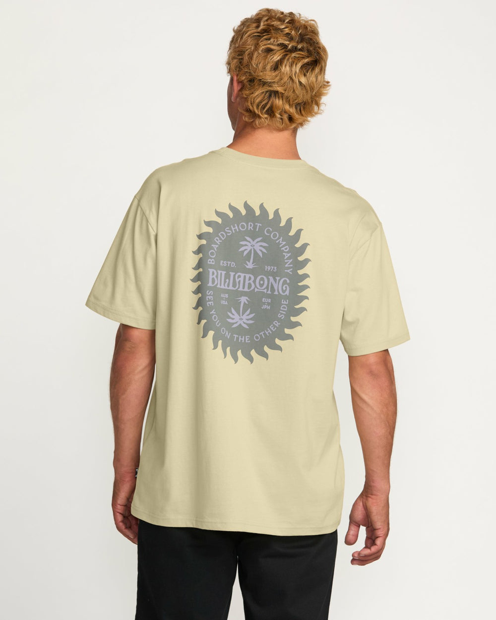 Sun Rays Regular Tee - Desert | Billabong Men