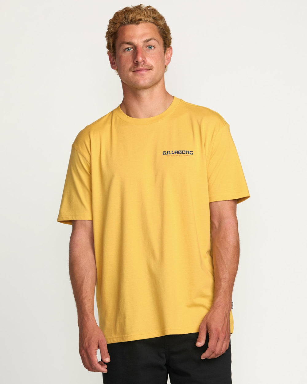 Window Premium Tee - Vintage Gold | Billabong Men