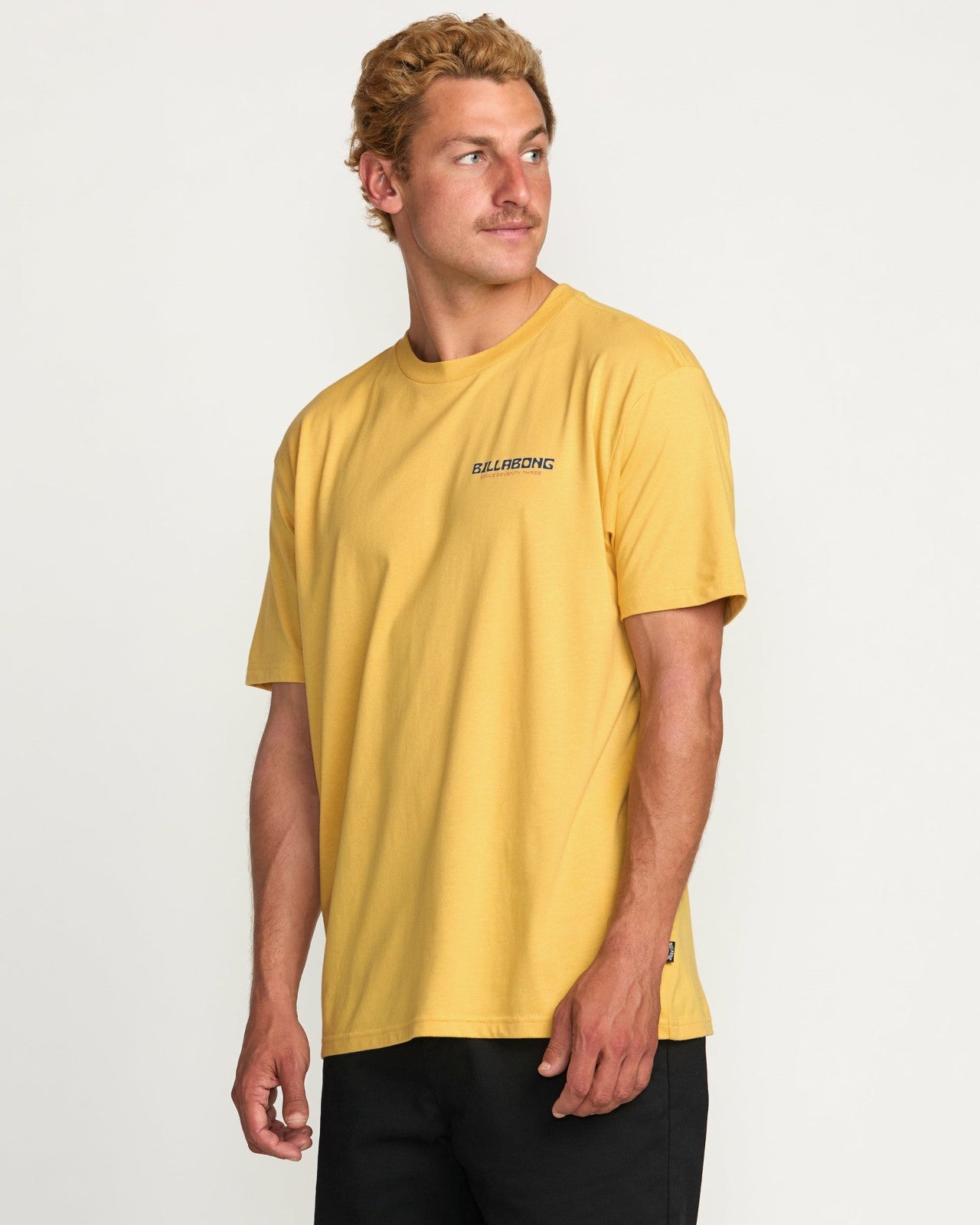 Window Premium Tee - Vintage Gold | Billabong Men