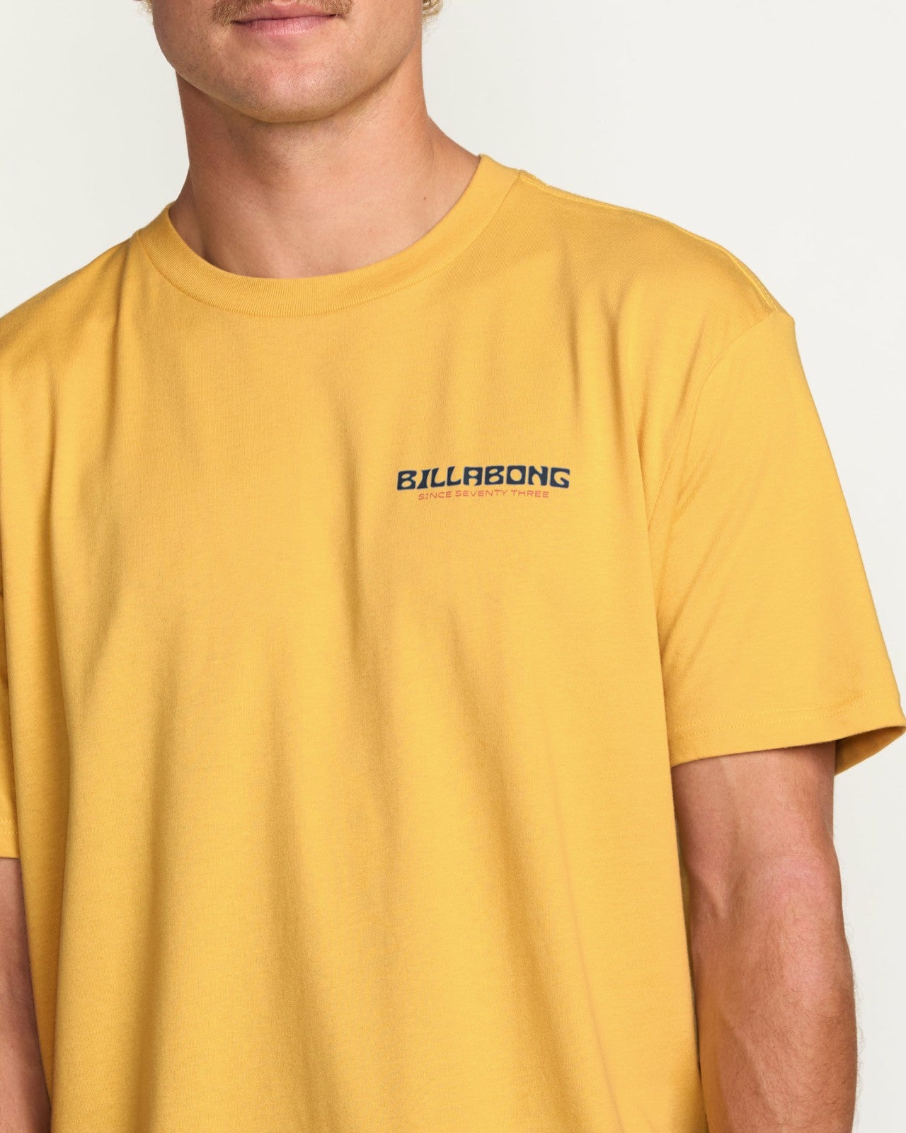 Window Premium Tee - Vintage Gold | Billabong Men